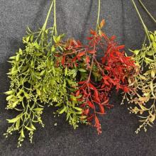 ���پGɫ���b����~���đ��⻨�Gֲ��ꐲ��þGֲ�~��c��ˇ