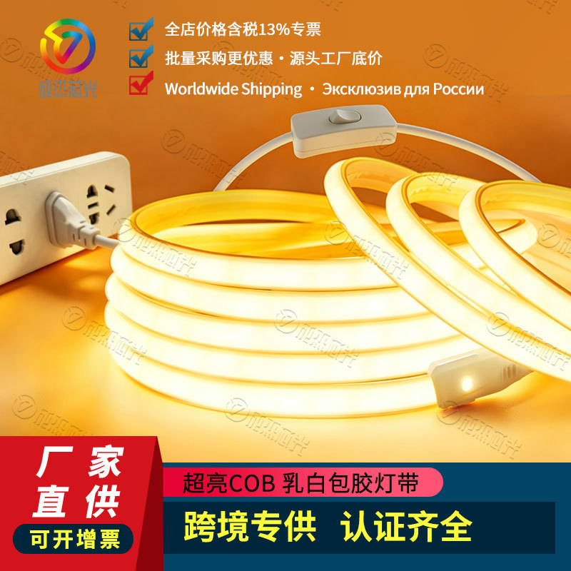 Led Light Strip 220V with Plug and Switch Waterproof Super Bright Self-Adhesive Linear Living Room Atmosphere Cob Outdoor Soft Light Strip Led Light Strip 220V with Plug and Switch Waterproof Super Bright Self-Adhesive Linear Living Room Atmosphere Cob Outdoor Soft Light Strip