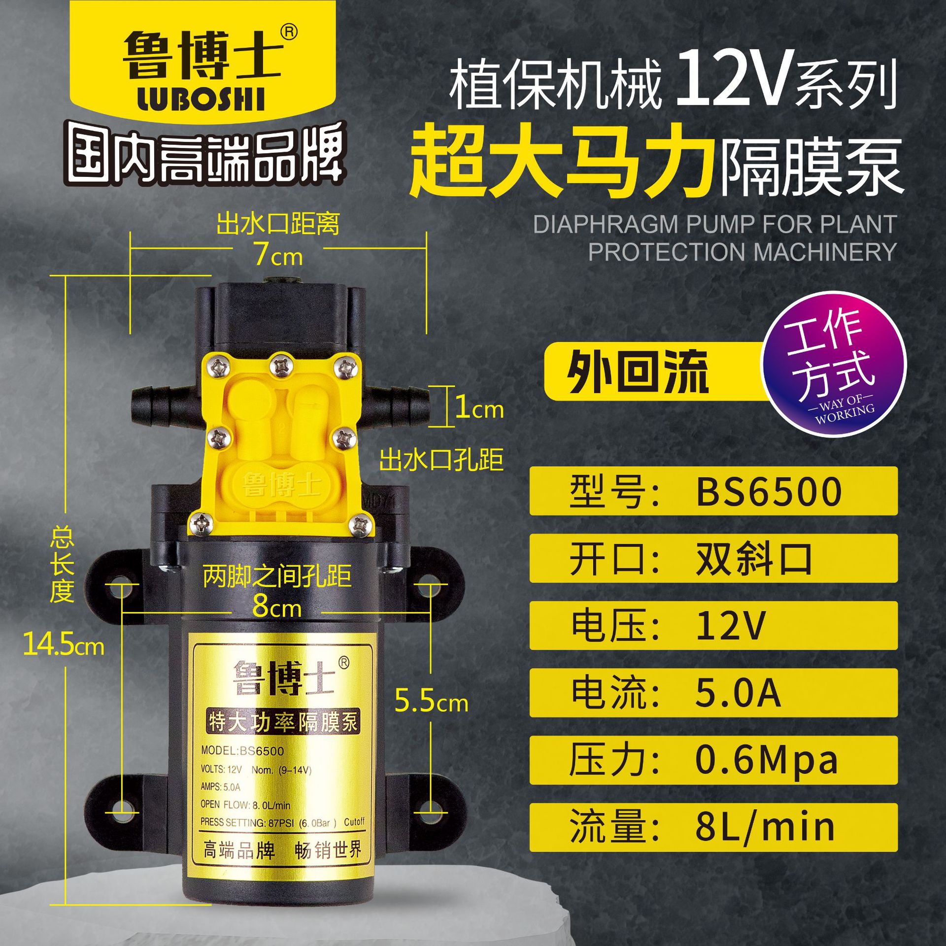 厂家直供鲁博士6500系列外回流和智能回流隔膜泵小型洗车水泵