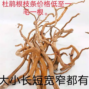 ���N��֦�l  ˮ�� ��ľ 횸���֦�����ט�֦΢���^�쾰�ٗl��횸�