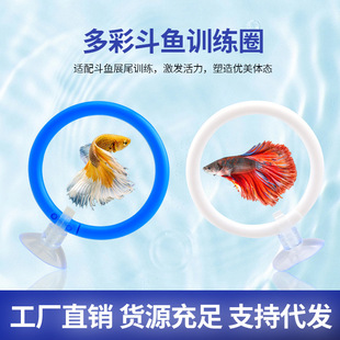 �羳���l���~չβ�������Ӷ��~���Ӗ���h̩�����~Ӗ��Ȧ�����h