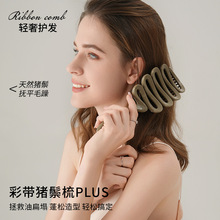 彩带造型猪鬃毛防静电梳子蓬松高颅顶梳子排骨梳女生高颜值顺发梳
