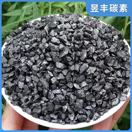 石墨及碳素;活性炭