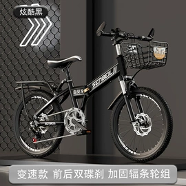 山地自行车;折叠自行车