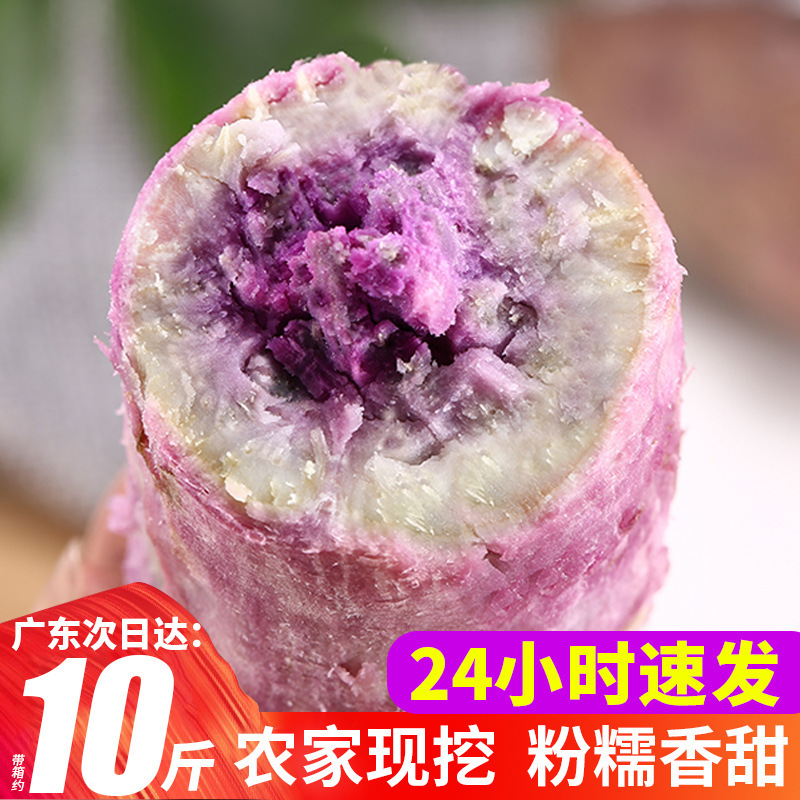 冰淇淋番薯一点红紫心红薯新鲜现挖农家自种花心板栗红薯5斤地瓜
