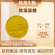 ������� 98% ��Ҏ�� ��;��� ���󃞻� �S�Ұ��]