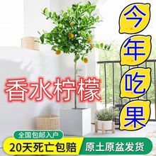 �W�t�Gֲ��ˮ���ʘ�͏d�҃Ȏ��������������̨�҃ȾGֲ�����՚�