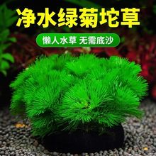 �G�����������������ˮ��һ���׃���ˮ�|�؂�Ʒ
