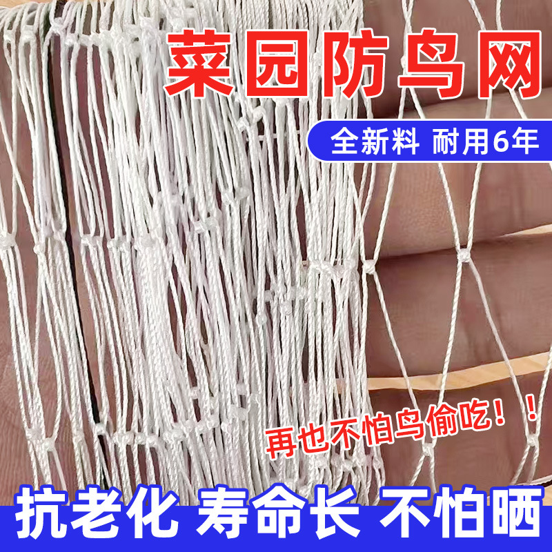 涤纶防鸟网尼龙复丝穿边大棚通风口天沟防蜂农田鱼塘果园果树
