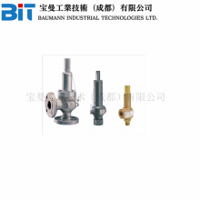 ��������ɭ�������Anderson Greenwood 60/80ϵ�Љ���ጷ��y���]