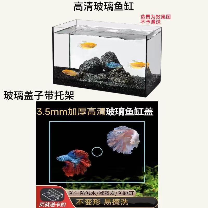 Glass aquarium