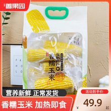 哈喽玉米香糯玉米棒内蒙古哈喽玉米产地真空索鲜整袋礼盒早餐速食