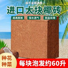 ��KҬ�u�I�B���N��Ҭ��Ó�}��Ҭ��Ҭ�����l�B��ͨ�Þ�������