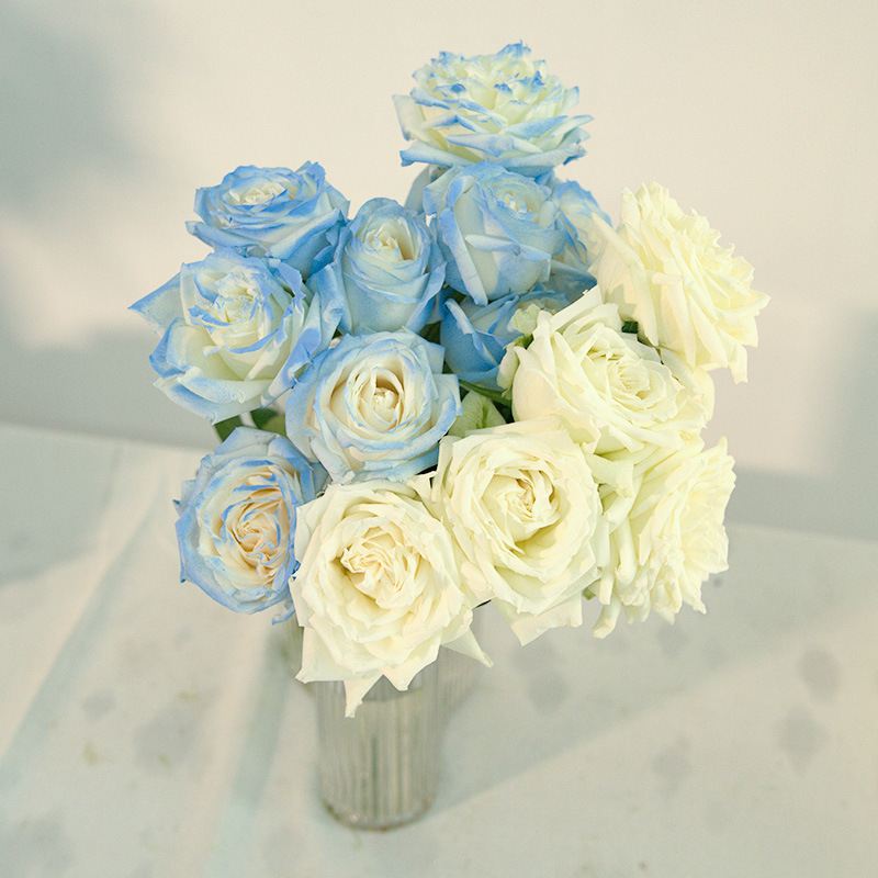 玫瑰花鲜花云南昆明基地批直发百合向日葵红豆家用鲜切水养插|undefined