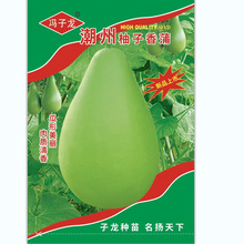 ��ꖹ��߲˷N�ӳ����������ѹϷN���ϻ�����@ͥԺ��������