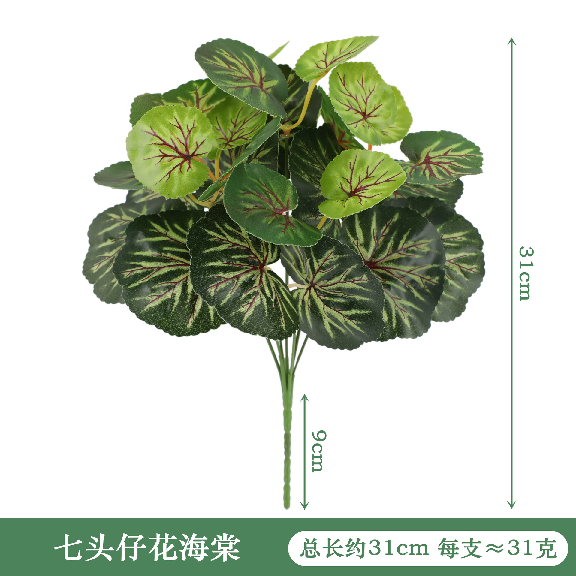 YAL176-160-7 투우 지 후아 베고니아
