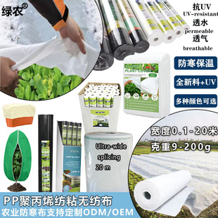 �羳�F؛pp�o�����r�I���ط������� �ư�ɫ���ݳ��������ˮ