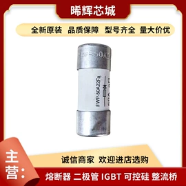 普通晶闸管;IGBT模块;其他二极管