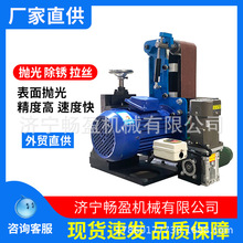 去毛刺砂光机拉丝台式打磨砂带机 自动金属平面抛光除锈打磨机