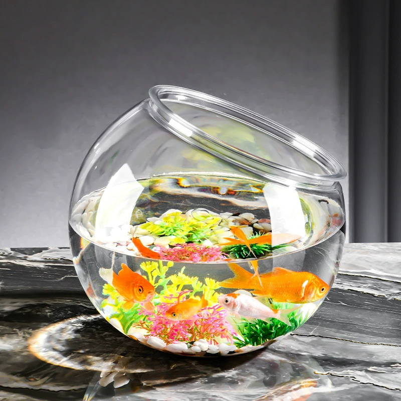 Оптовые микроландшафтные аквариумы: декоративные суккуленты, настольные украшения, экологичные пластиковые имитации стеклянных бутылок, многофункциональные горшки для растений