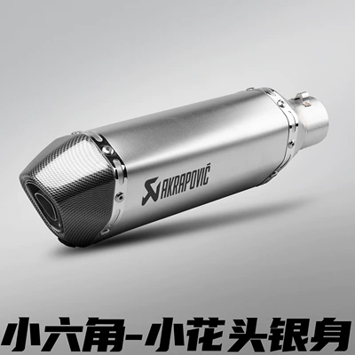 Motorcycle exhaust pipe, Racing Street Bike Small Hexagonal - 370mm-small-hexagon-small-flower-head-silver-body