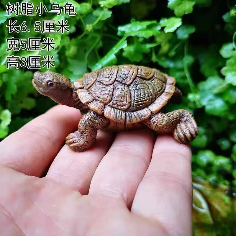 작은 거북이