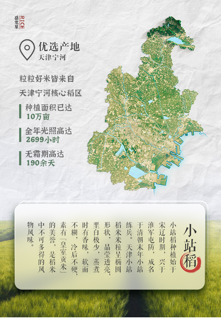 大米,大米批发,珍珠米,粳米,新米