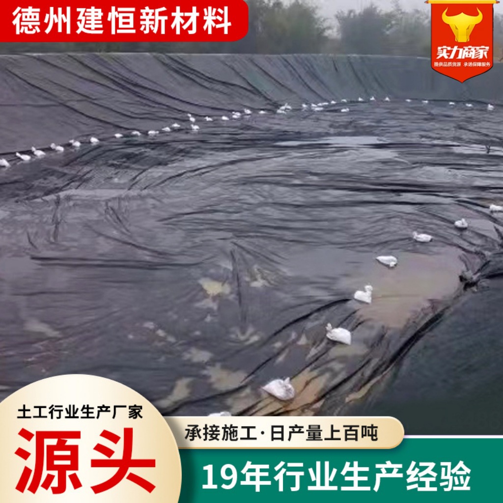 油罐防渗土工膜1.0mm地下车库大型冷库石油化工hdpe土工膜