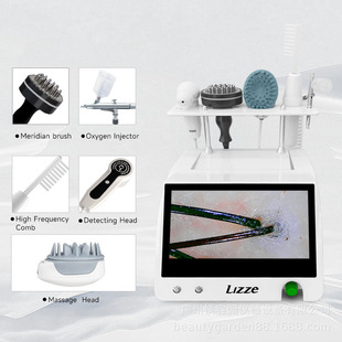 Cross-border scalp care hair follicle detector comb meridian massage health center scalp detection five-in-one physiotherapy instrument