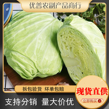 �������r�A����G���Ĳ˸��{ɏ�����r���ԷN�Fժ�F�l����ɳ�����]