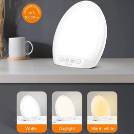 其他专用灯具;埋地灯;庭院灯