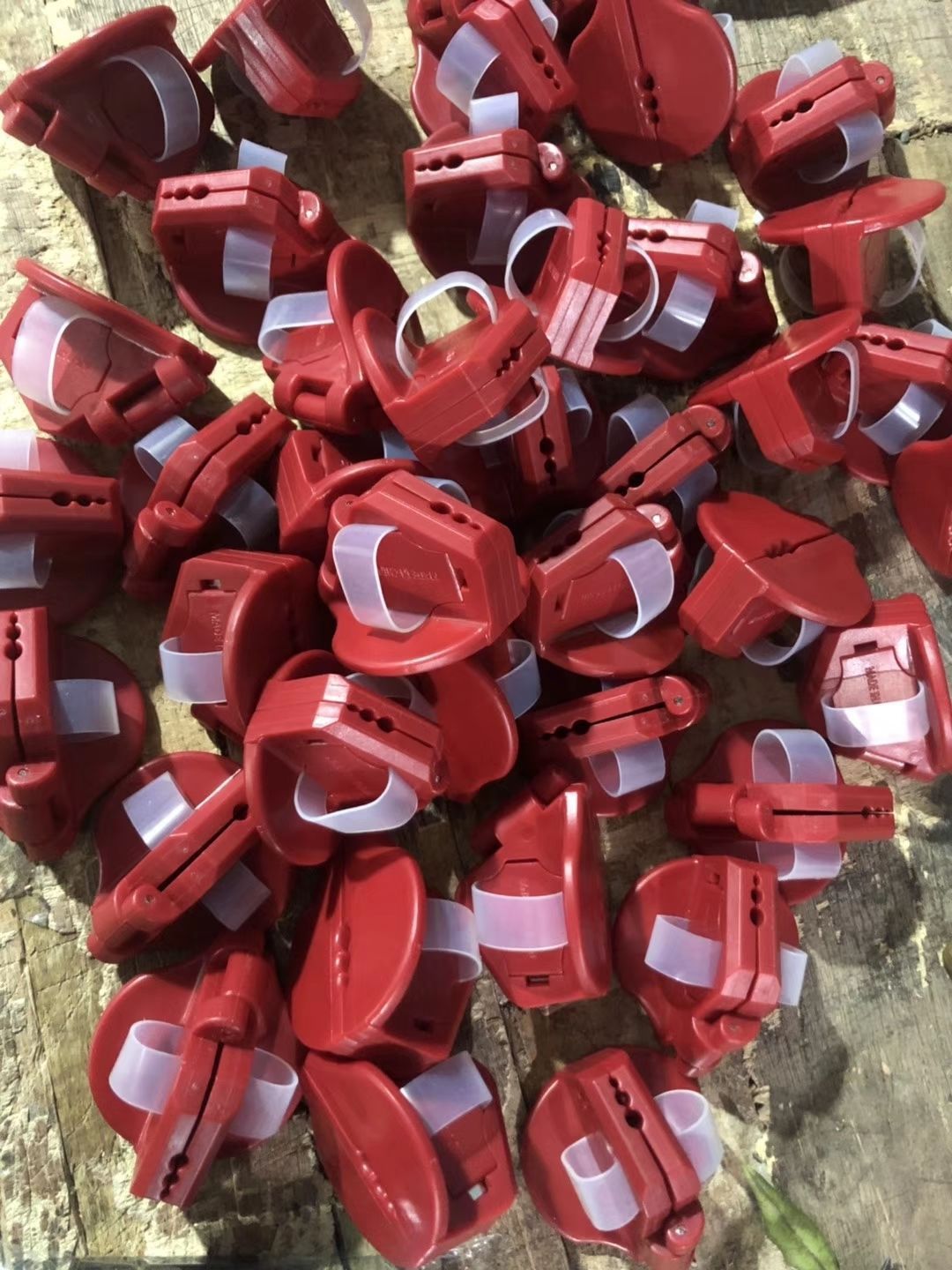 15448382733_1472702584