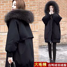 �n����q��Ů���L��2025�ﶬ�¿��a�����@�ݼӺ��ɫ����Ů�ٴ�