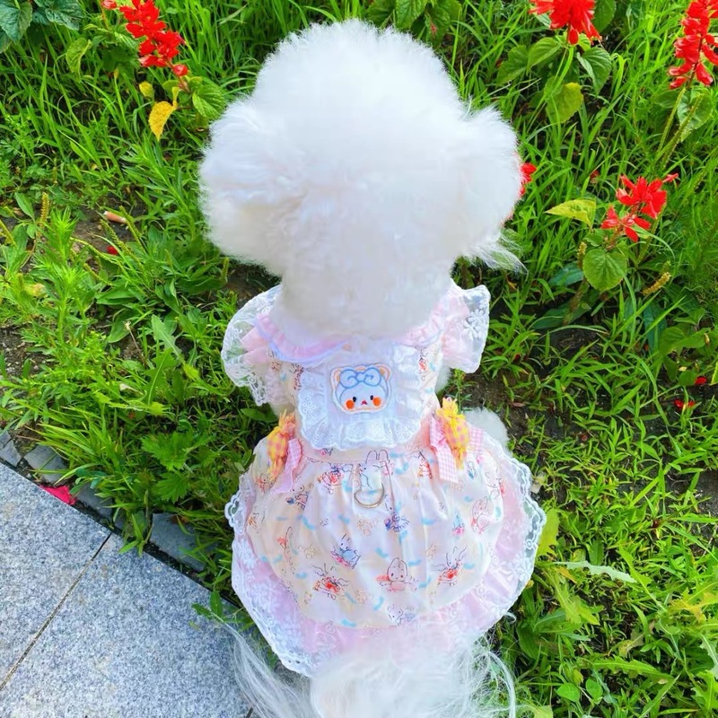 子犬服春夏薄い小型犬プリンセスドレスキャンディロリータ猫服かわいいクマ|undefined