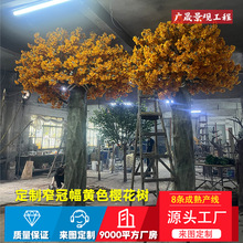 ���ͷ��沣��䓙ѻ��S�Gֲ���^�����Θ����b٘�����һ���