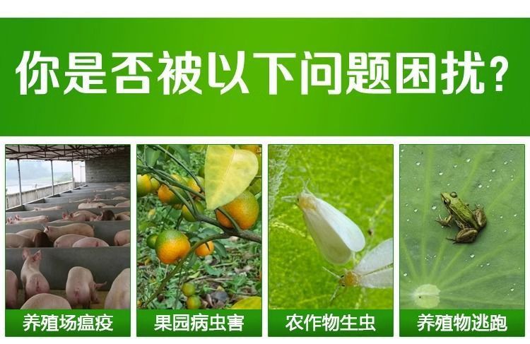 1e82ea86-cd4d-4542-960d-4a6c33bc74ed.jpe