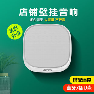 Wireless wall speakers for commercial use, megaphone, new collection, bluetooth