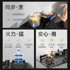 【喜马拉雅怡居生态套系】松下厨房家用5.2kW嵌入式三眼
