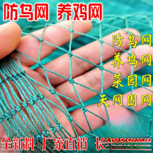 网防养鸡网家禽养殖网护栏网网米围尼龙网菜园拦鸡网鸡网山鸡