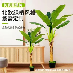Simulated Green Plant Banana Tree Potted Scandinavian Ins Style Banana Tree Bonsai Indoor and Outdoor Tropical Simulated Green Plant Decoration