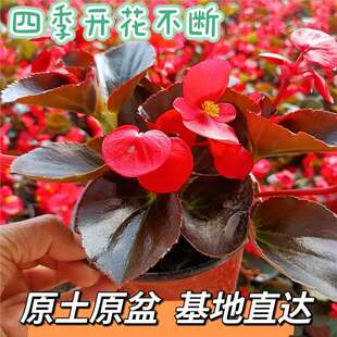 �ļ����Ď��ﺣ�Ĳ������ذ��ļ��_���̨ͥԺ�͟��ͺ�����������