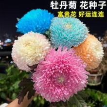 ���lĵ���շN�ӽ�ĵ�����ļ��_�����g���F���໨�ɾջ��N�̨����