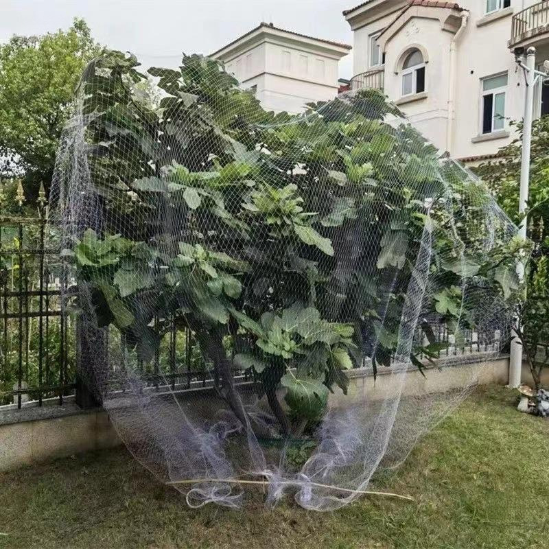 果树防鸟网樱桃树嘉宝树果园防护网果树网罩遮树葡萄防鸟用的网