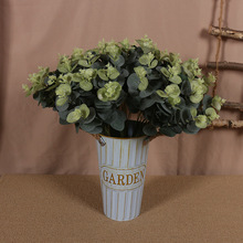 �Gɫ����ֲ���L֦���X�ݽzӡ���^ë�ȼ����ٻ���c�S���b���