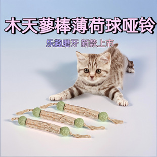 ���R�d�羳��Ʒľ��ޤ؈���Ɇ��ĥ�����X��؈��؈���ҧ������