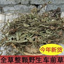 Ұ܇ǰݸ؛rwȫݲr܇ǰݲ250500