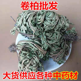 中药材批发卷柏九死还魂草还阳草不死草 量大从优