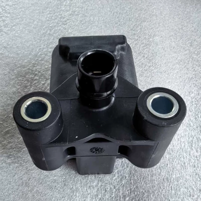 Alovlanma bobini (Babinalar) coil 1003650711 for gas engines