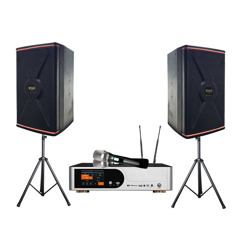 Sistema de karaoke RGG para el hogar, juego de altavoces de karaoke de 10 y 12 pulgadas, juego completo