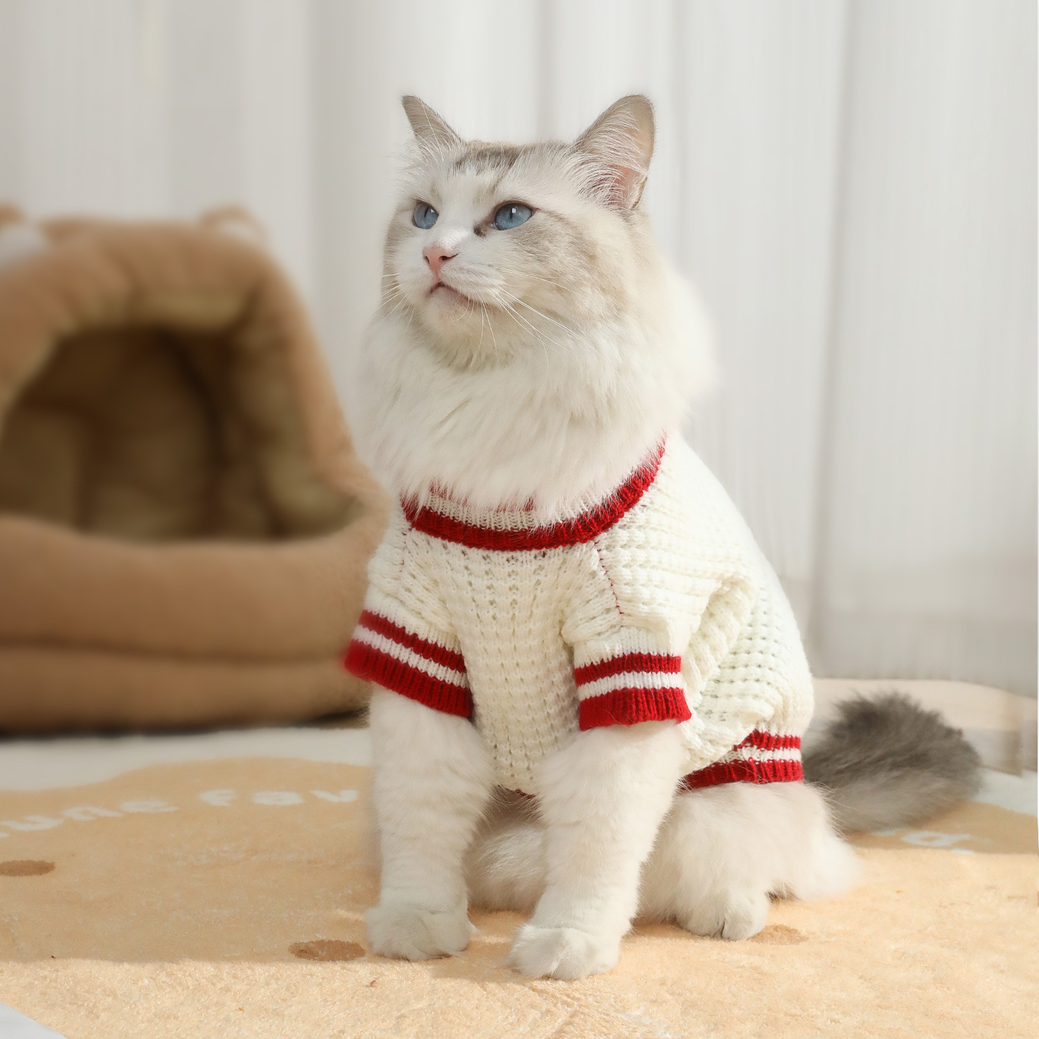 Ropa para perros invierno grueso bichón cachorro ropa de otoño e invierno nuevo suéter de oso acrílico ropa para gatos